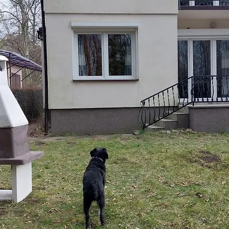 Dom Goscinny Na Wylacznosc .